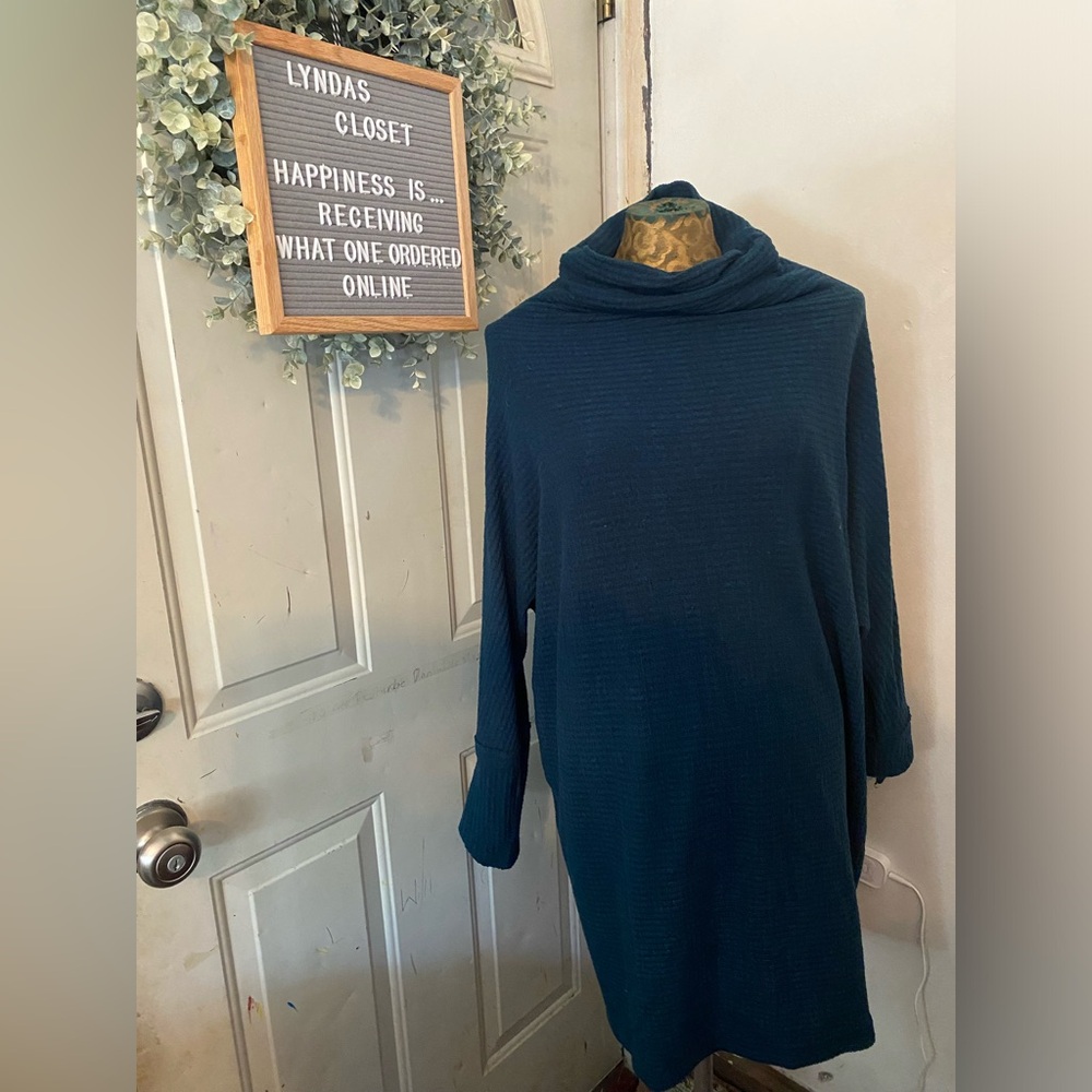 We The Free (Free People) Teal Green Waffle Knit Tunic with Cowl Neck Size Large